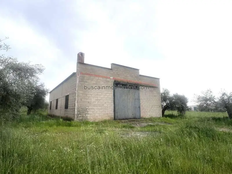 Parcela Rustica en Venta Don Benito con Nave y Olivos