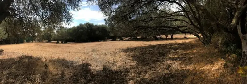 Venta Terreno Rustico en Nájara Vejer de la Frontera