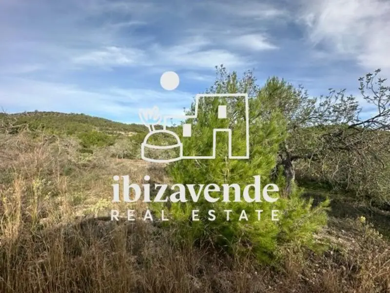 Casa de Campo en Venta Sant Rafel de Sa Creu Ibiza