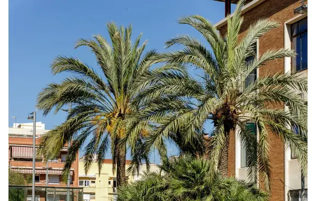 Apartamento 5 Dormitorios Collblanc L Hospitalet Metro L5 L9 L10