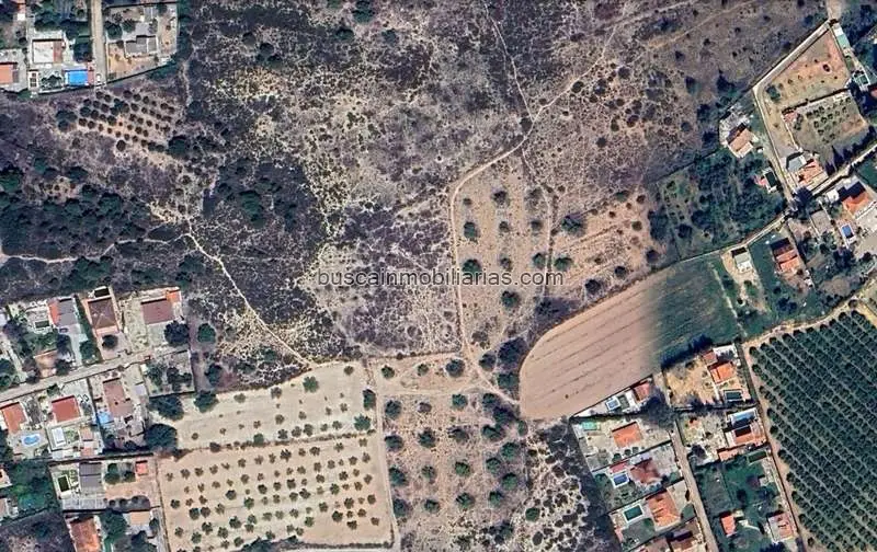 Parcela Rustica en Venta Lliria 4656m2