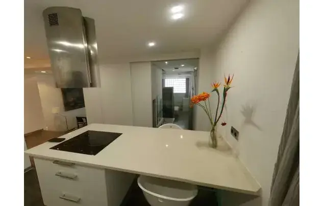 Estudio 82m2 Amueblado Ventas Madrid