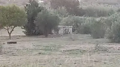 Finca Rustica en Venta Zona Universitaria Sevilla