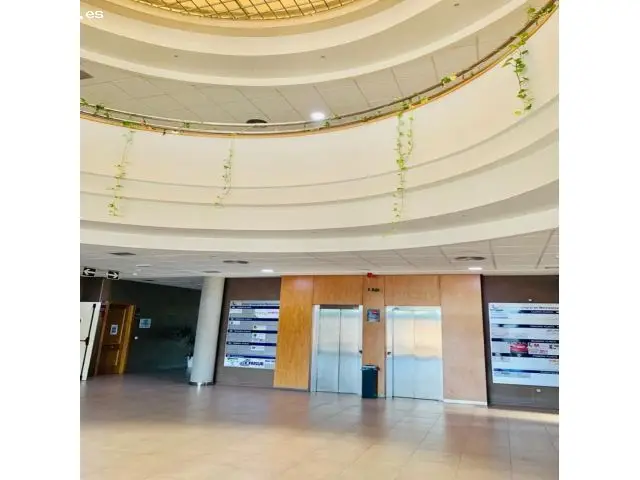 Oficina en El Ejido Santo Domingo 58m2