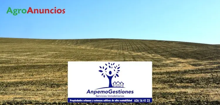 Venta Finca Agricola 150 Hectareas Cordoba Arboleda