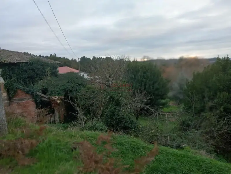 Casa en Pereiro de Aguiar para Reformar 600m2 Finca 207m2 Construidos