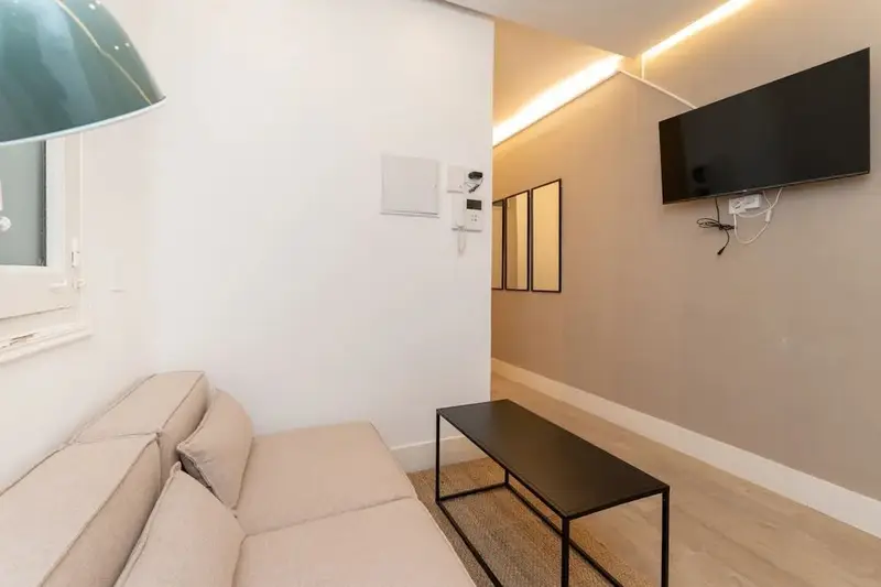 Apartamento en Alquiler Madrid Conde de Peñalver 1 Dormitorio