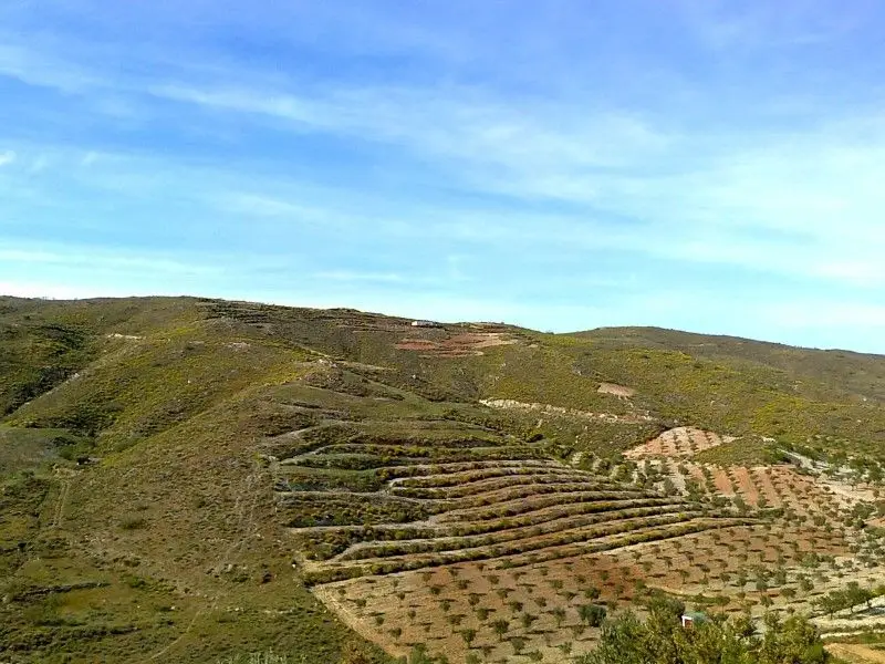 Venta Finca con vistas Los Jarales 14 hectareas