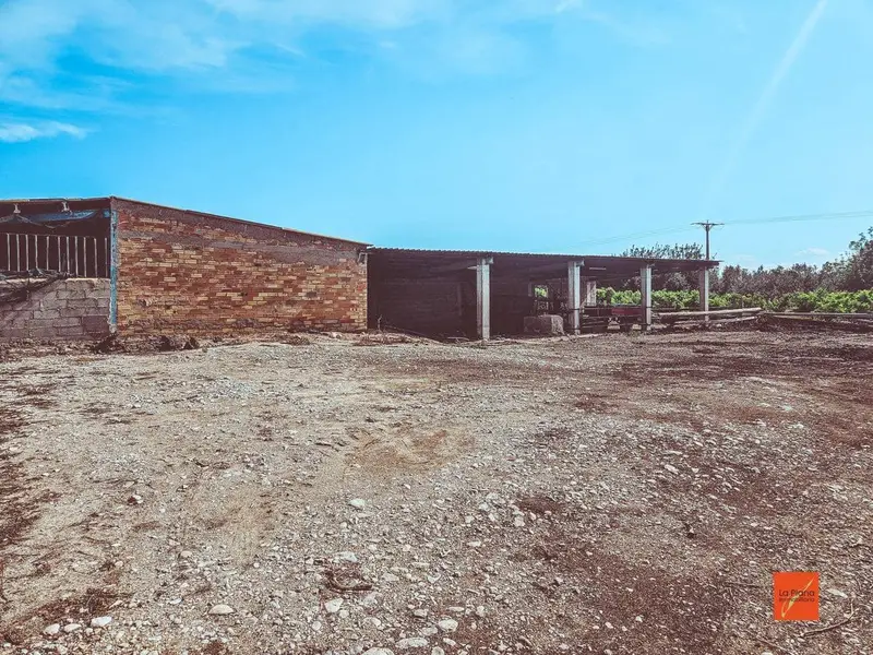 Finca Rústica con Nave Agrícola en Santa Bárbara