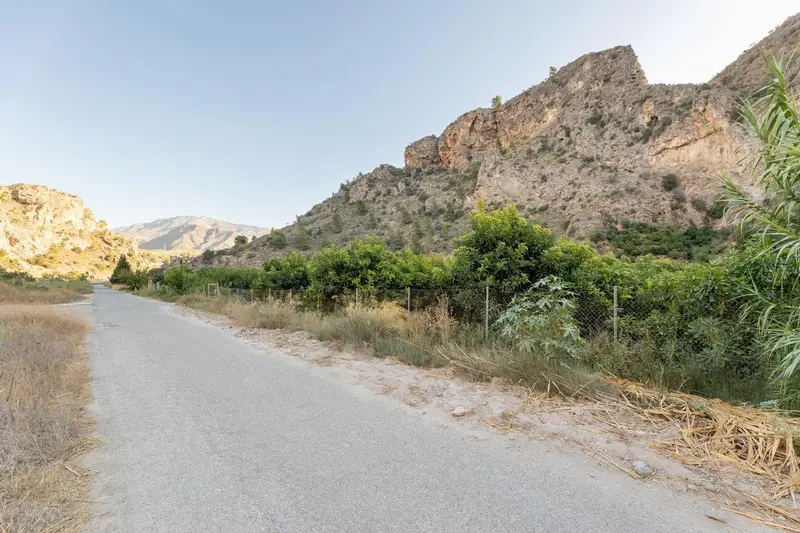 Venta Terreno Agricola Tropical en Velez de Benaudalla
