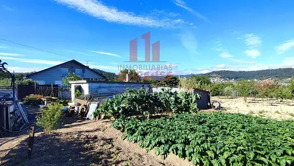 Finca 3537m2 San Cibrao das Viñas Orense