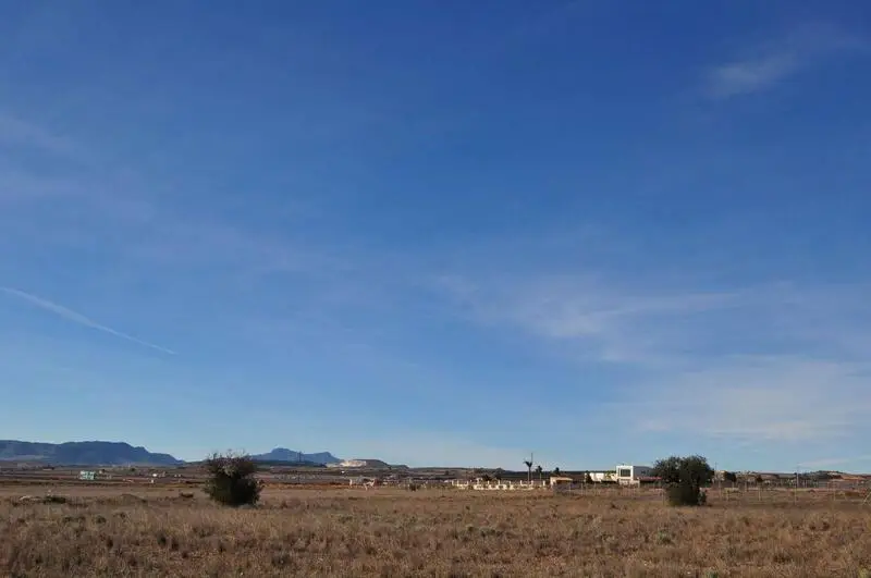 Terreno en Venta Pinoso Alicante 10000m2 Cerca del Pueblo