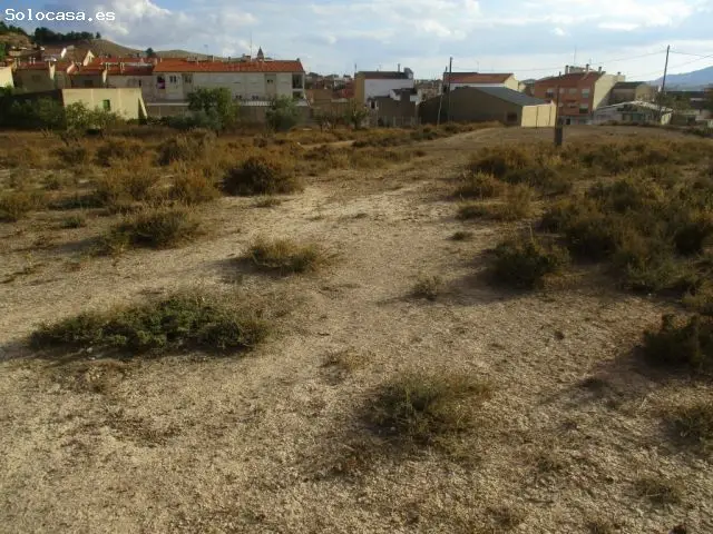 Solar en Montealegre del Castillo 11700m2