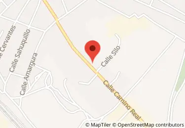 Subasta de Vivienda en camino real, 115, La Gineta