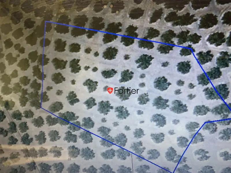 Venta Finca Rustica Olivar Riego Martos Subvencion