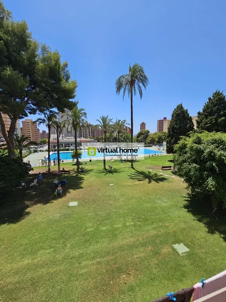 Apartamento en Benidorm 1 Dormitorio 1 Ba
jo Piscina Ascensor
