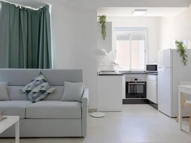 Apartamento 1 Dormitorio Malaga Centro Historico