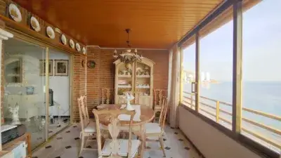 Apartamento en Alquiler Temporada Benidorm Playa Levante