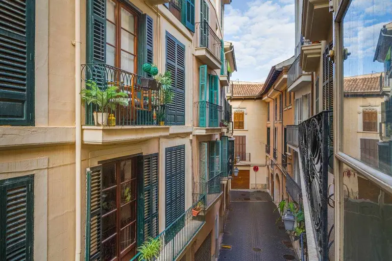 Apartamento Palma 1 Dormitorio Centro Historico