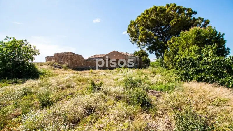 Finca Rustica en Venta Caspe 2 Ha