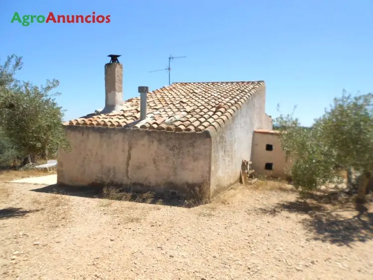 Venta  de Finca con casa de campo en Tarragona