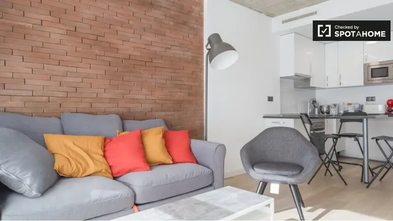 Apartamento 1 Habitacion Madrid Amueblado