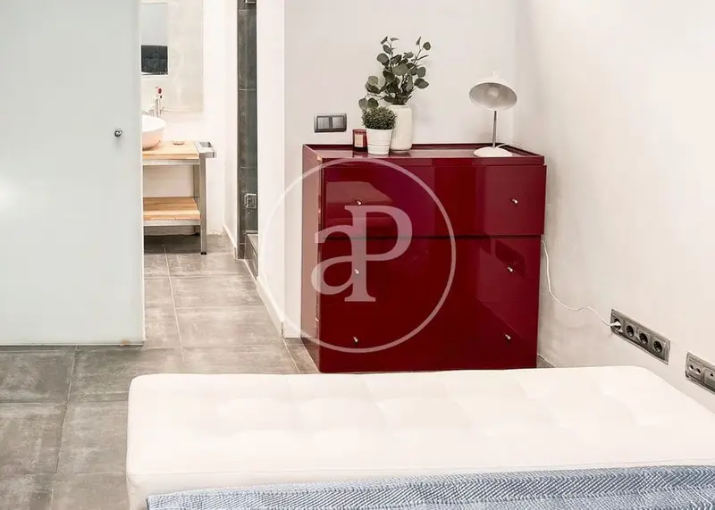 Loft Amueblado con Terraza en Valdeacederas Madrid
