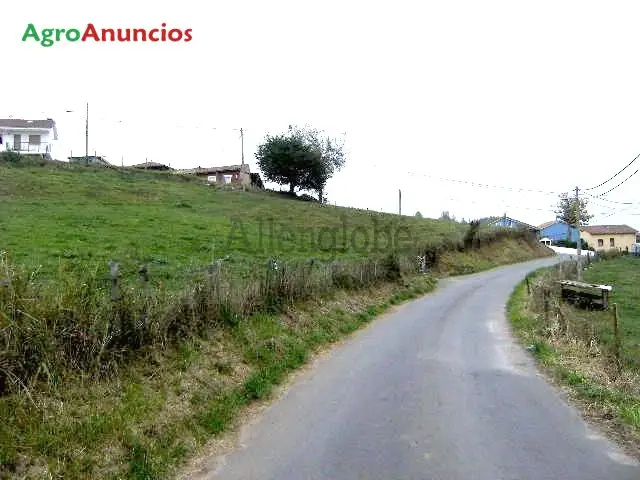 Venta  de Finca edificable cerca de oviedo en Asturias