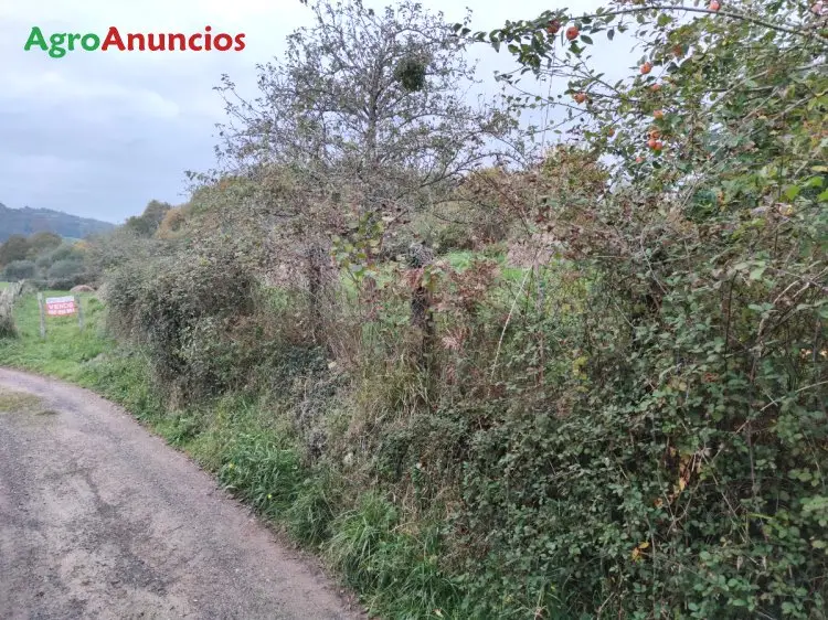 Venta  de Finca de recreo en Asturias