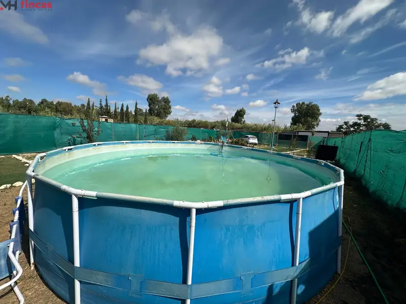 Venta Finca Amueblada Arahal