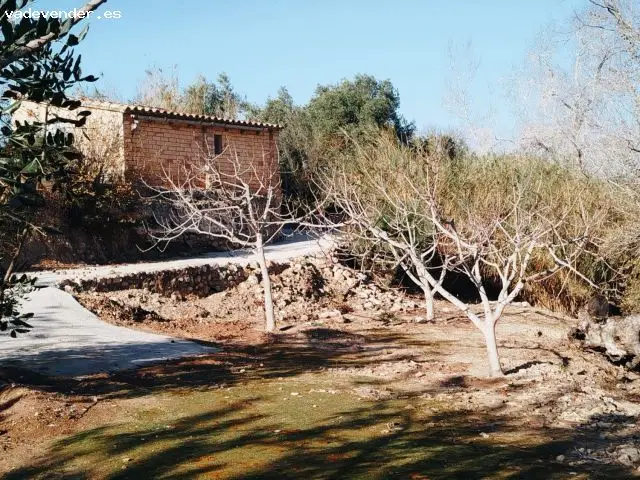 Finca Rustica de Regadio en Xerta Tarragona