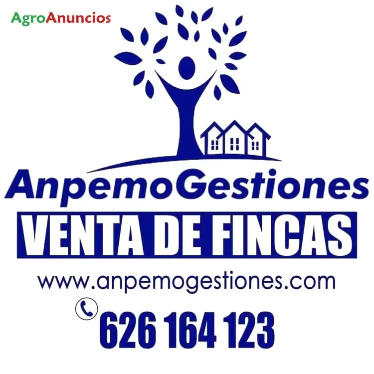 Venta  de Finca de olivar superintensivo en Sevilla