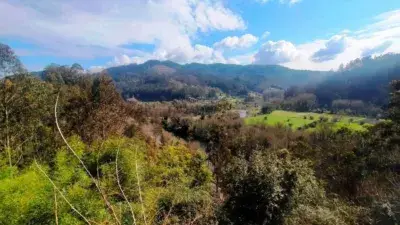 Casa con Vistas al Rio Narcea en Pravia