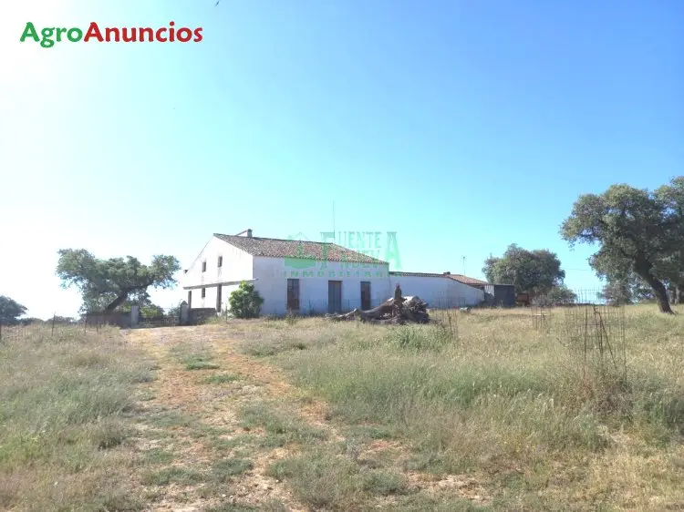 Venta  de Finca con dehesa en Badajoz