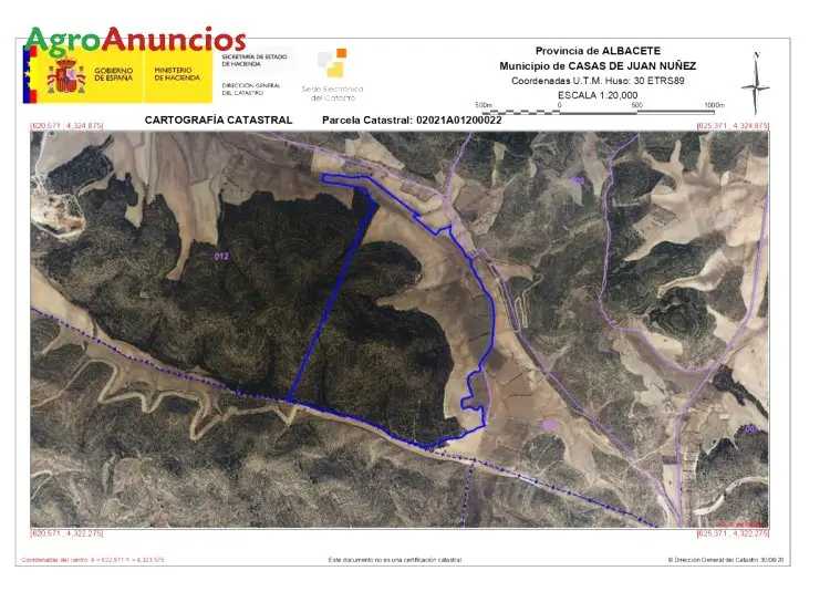 Venta  de Finca de secano y pinar maderable en Albacete