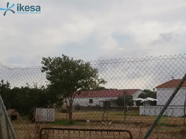 Suelo Rustico Huelva 10064m2 Cultivo Vivienda Remate