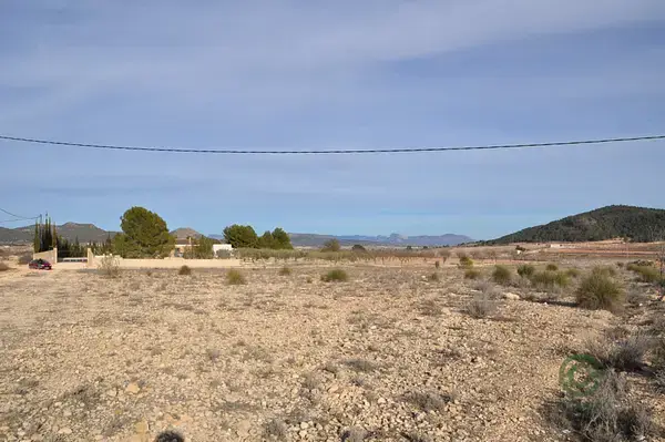 Terreno en Pinoso 7155m² Vistas al Campo