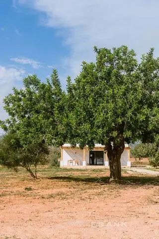 Finca de Lujo en Ibiza: 7 Dormitorios, Piscina y Casita
