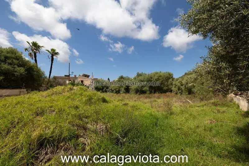 Parcela Rustica en Venta Ses Salines 718m2