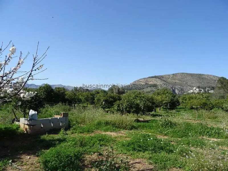 Parcela Rustica Alcalali 4602m2 Naranjos Pozo de Agua