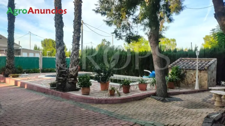 Venta  de Finca de recreo en Murcia