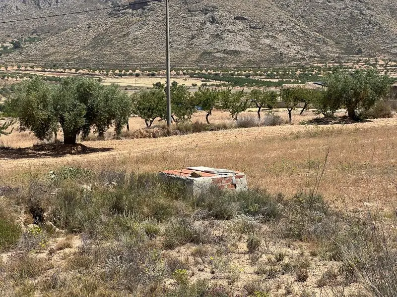 Parcelas Rusticas en Barbarroja Alicante con Vistas a la Montana