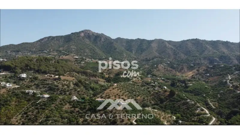 Finca Rustica en Frigiliana con Agua y Posibilidad de Construccion