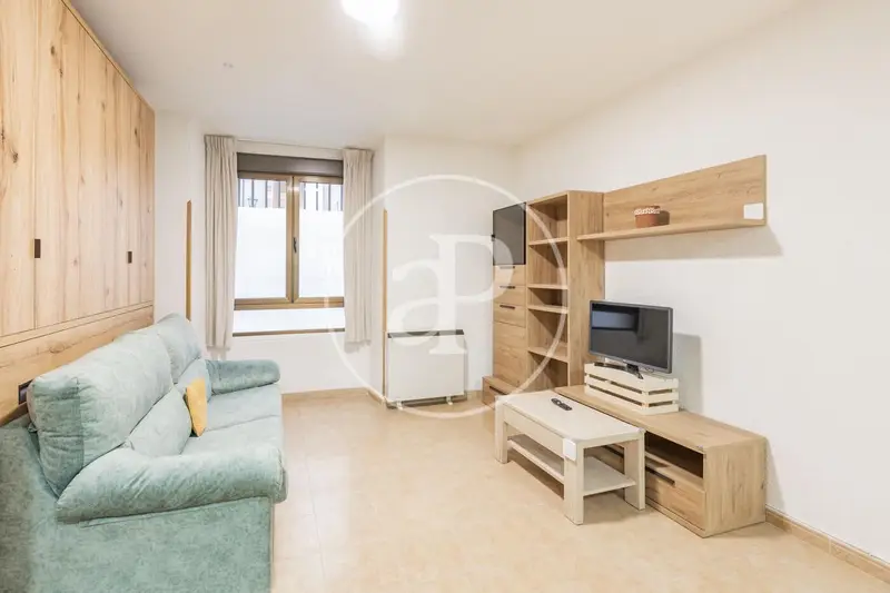 Estudio Amueblado Palacio Madrid - Cerca Plaza España