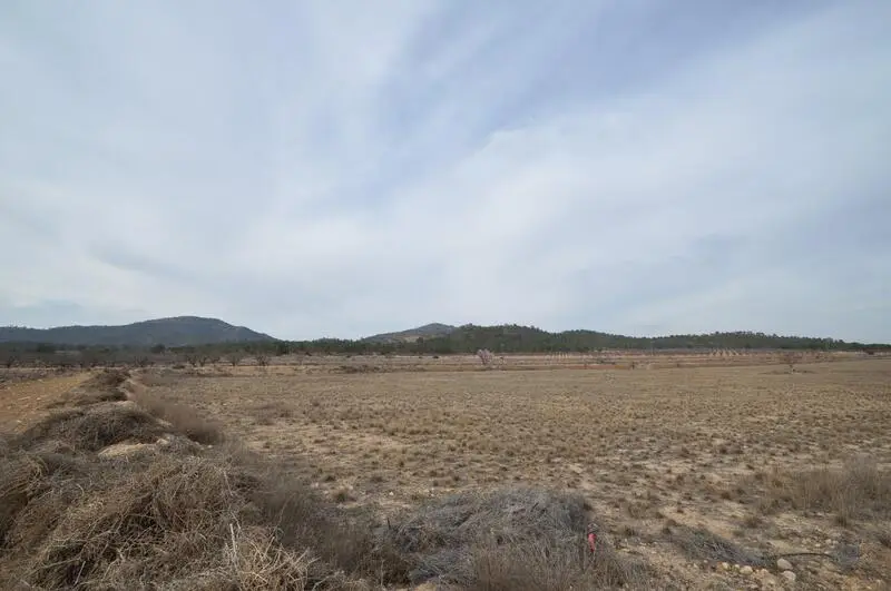 Parcela en Venta cerca de Monóvar