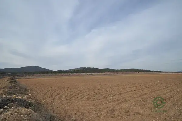 Parcela Rustica 33880m2 Monóvar