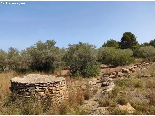 Parcela Rustica en Vinaros Vistabella