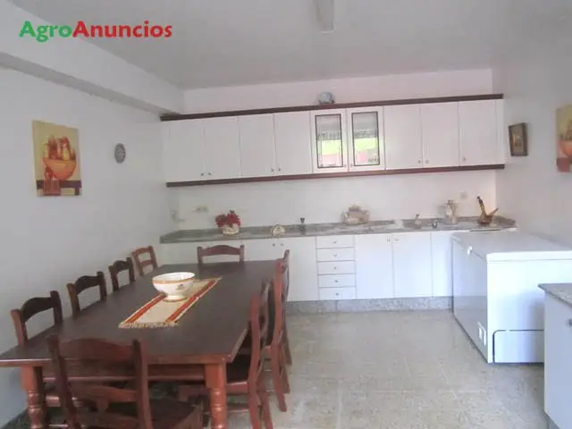 Venta  de Casa con bodega, hórreo y manantial en A Coruña