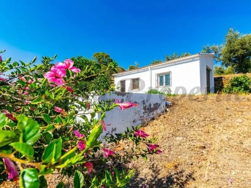 Apartamento en Arenas de V	 Velez M	laga
