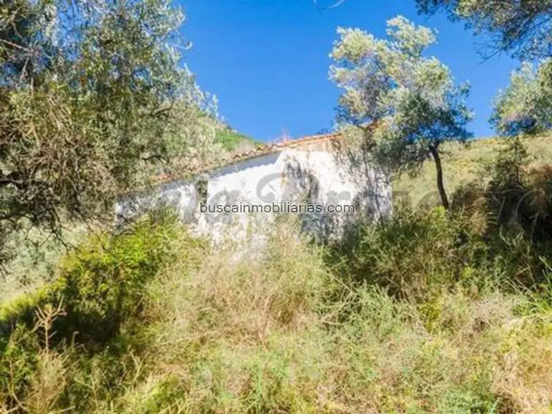 Parcela Rustica en Venta Canillas de Albaida